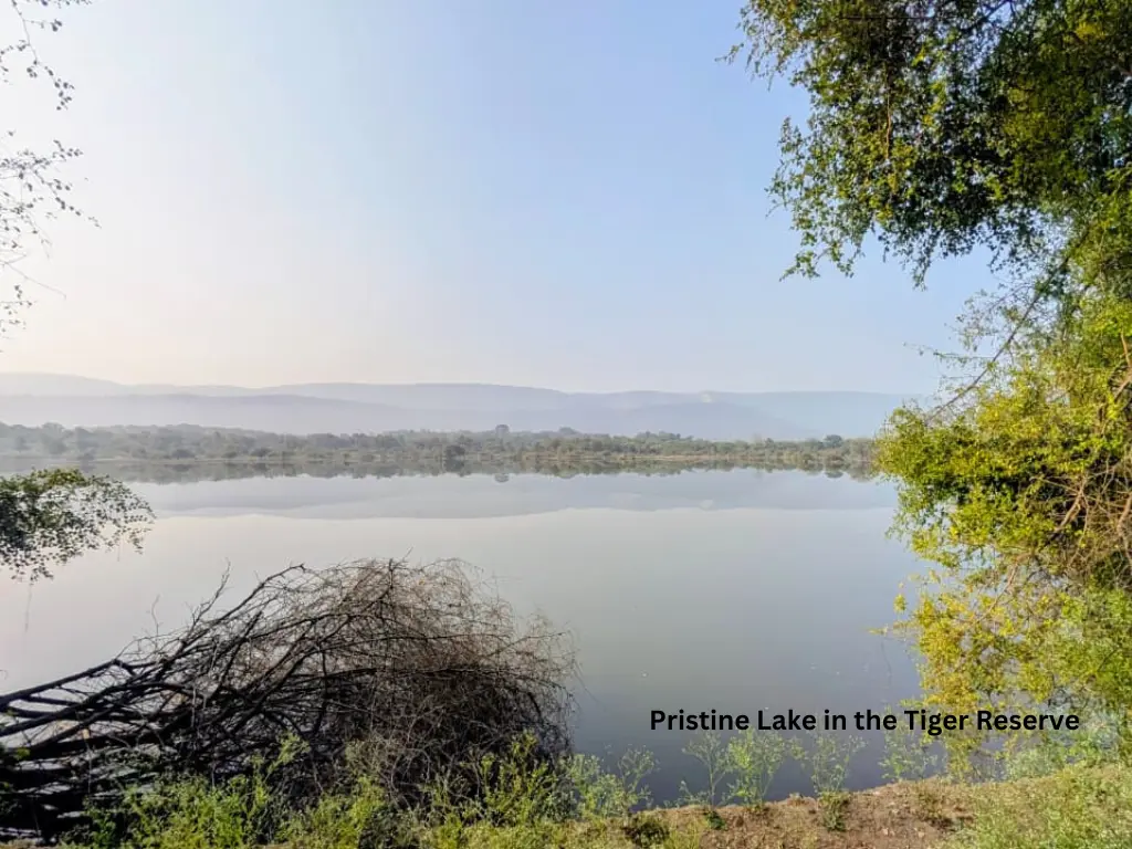 Lake inside Sariska Tiger Reserve
