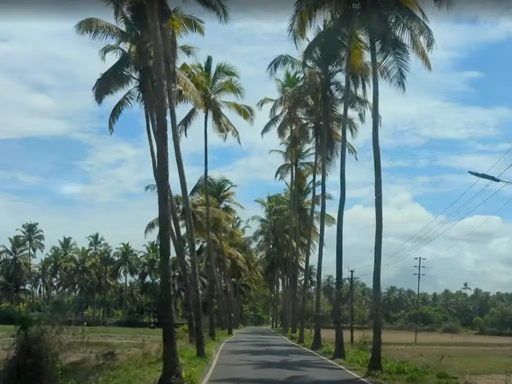 Goa Mini Para Road